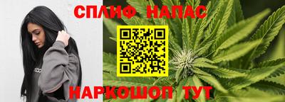 СК Беслан