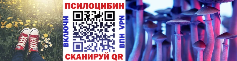 Псилоцибиновые грибы Psilocybe  где купить наркоту  Большой Камень 