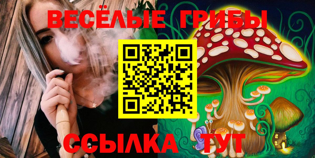 Большой Камень  Галлюциногенные грибы Magic Shrooms  Галлюциногенные грибы GOLDEN TEACHER  Вход с VPN 