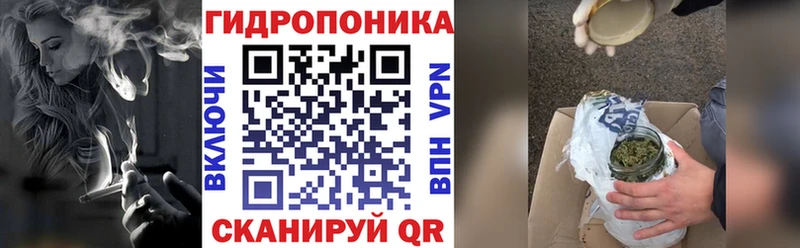 Каннабис конопля  Большой Камень 